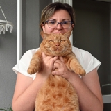 BORIS