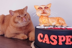 CASPER