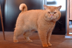 CASPER