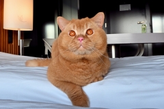 CASPER