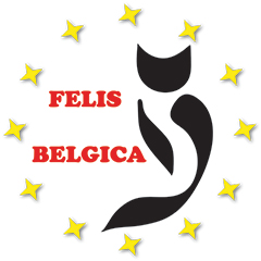 Felis Belgica